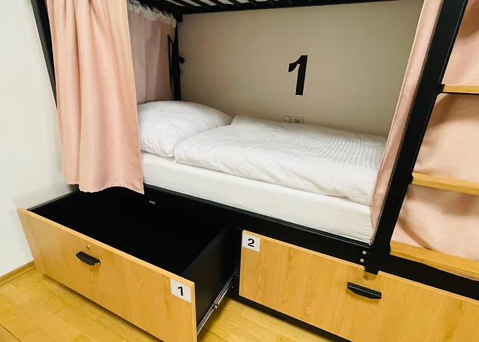 White Wolf House Hostel & Apartments